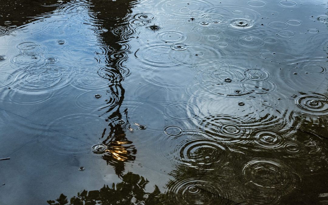 Summer rain